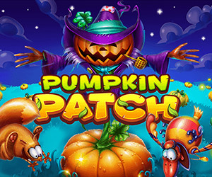 Pumpkin Patch